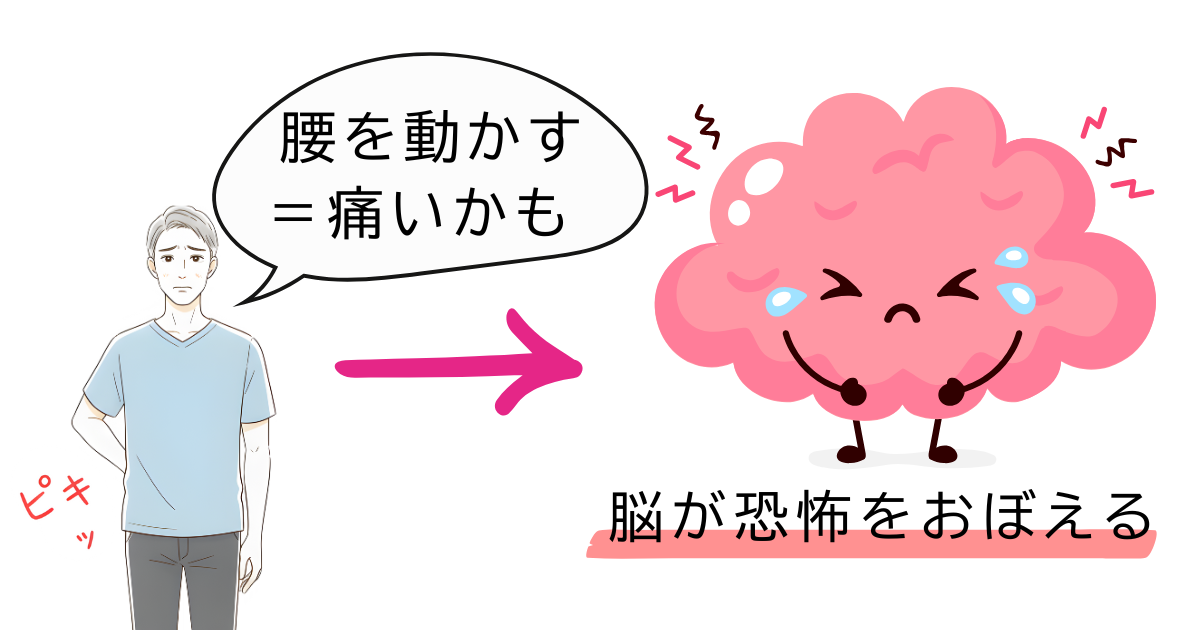 「腰を動かす=痛いかも」という予期不安が、脳の“恐怖学習”を起こし動作回避につながる流れのイラスト