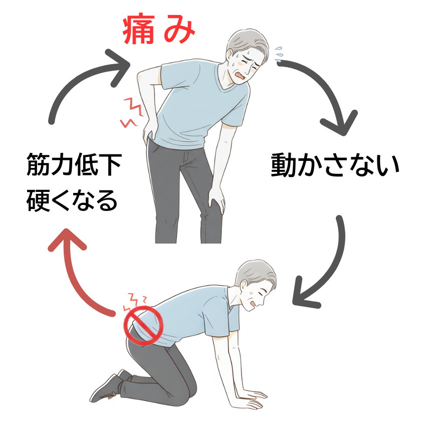 腰の痛み→動かさない→筋力低下で硬くなる→さらに痛む…と続く「痛みの悪循環(恐怖‐回避サイクル)」の図解